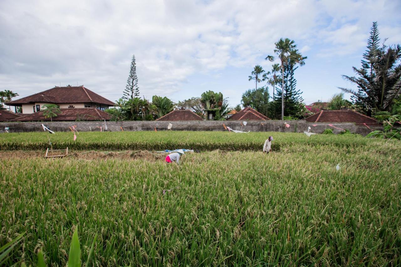 Villa Piece Of Peace Private 3Br With Large Pool And Garden Canggu  Ngoại thất bức ảnh